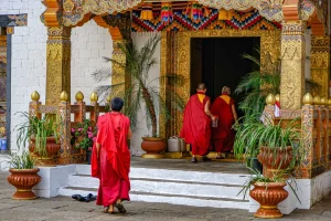 Connect with monks in peaceful contemplation