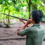 Ecuadorian indigenous Kichwa man doing a blowgun demonstration, traditional hunting method in the Amazon rainforest, Yasuni national park, Ecuador.