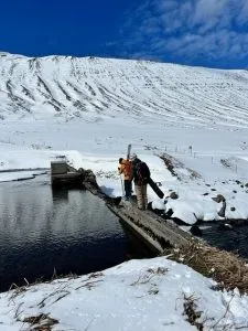 Set your sights on majesty