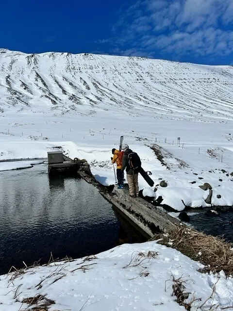 Set your sights on majesty