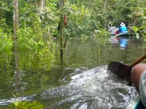 Navigate the river with crafted rafts