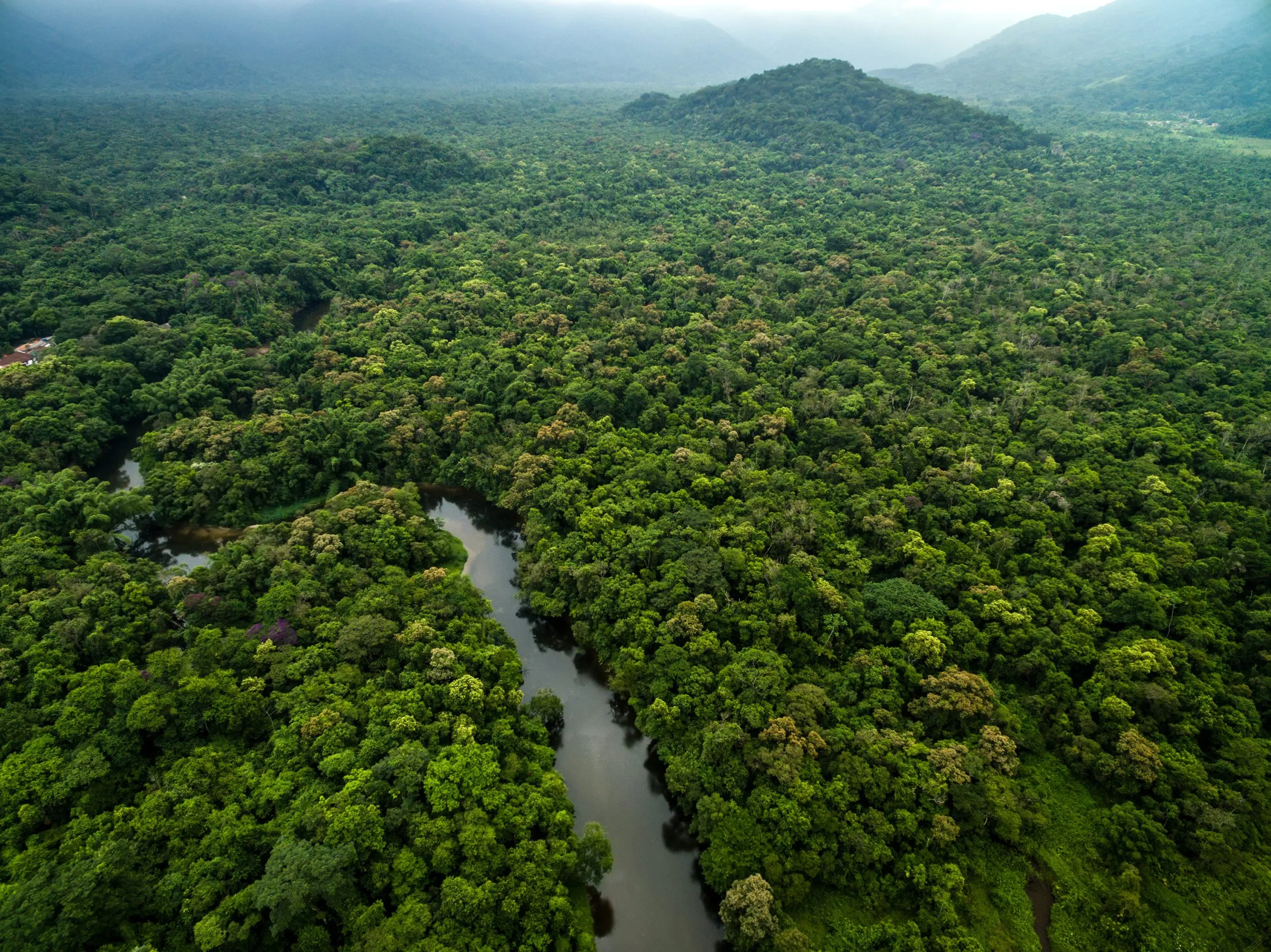 Aerial View of River in Rainforest, Latin America